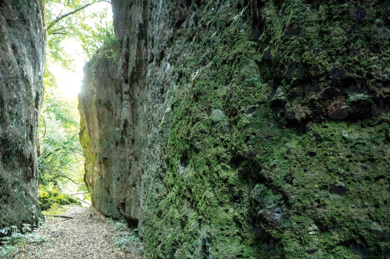 La Casetta Di VI Sutri Esterno foto
